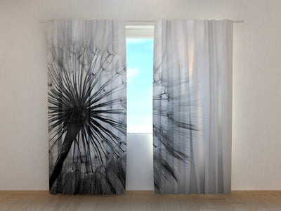 Curtains Black and white dandelion