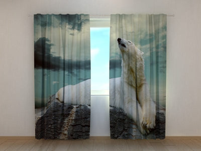Curtains Polar Bear Tapetenshop.lv