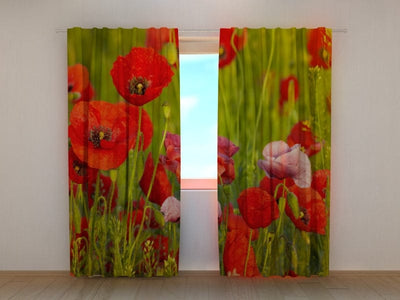 Curtains Red poppies