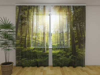 Curtains with sunny forest Tapetenshop.lv