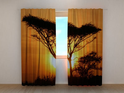 Curtains Sunset tree