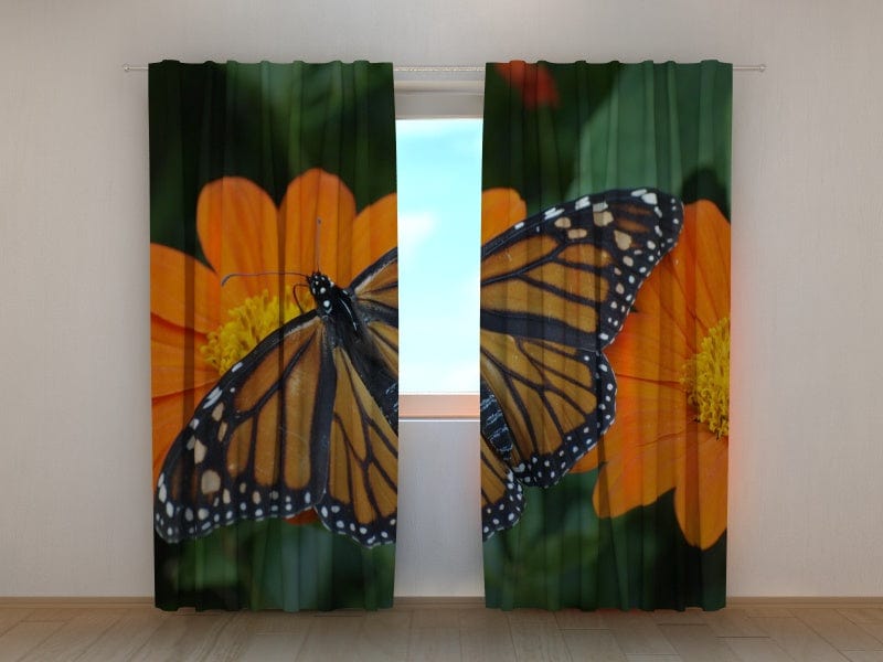 Butterfly curtains