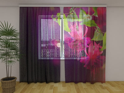Curtains Blooming fuchsias