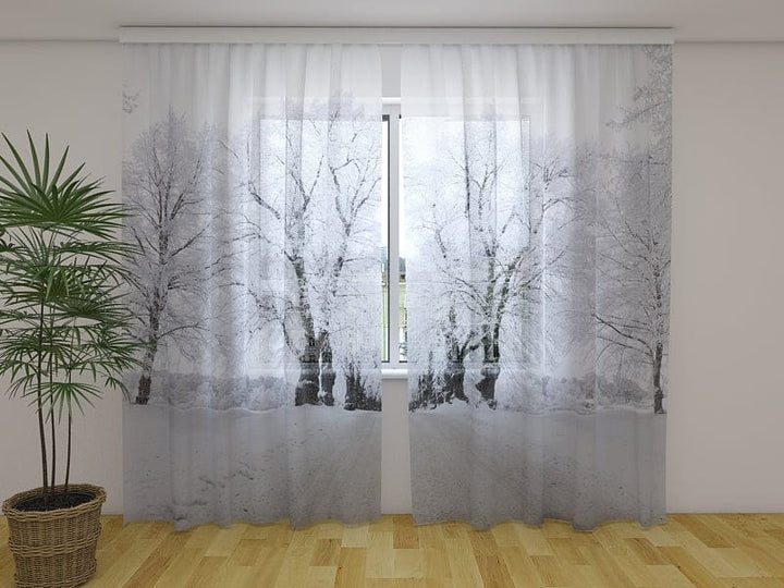 Aizkari ar ziemas ainavu - Ziemas ceļš Tapetenshop.lv