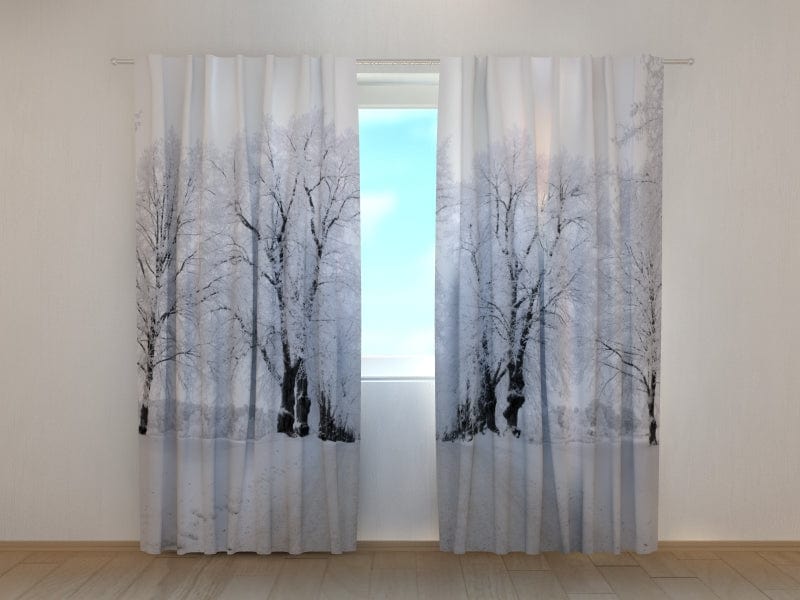 Aizkari ar ziemas ainavu - Ziemas ceļš Tapetenshop.lv