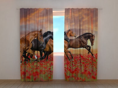 Curtains Horses in a poppy field