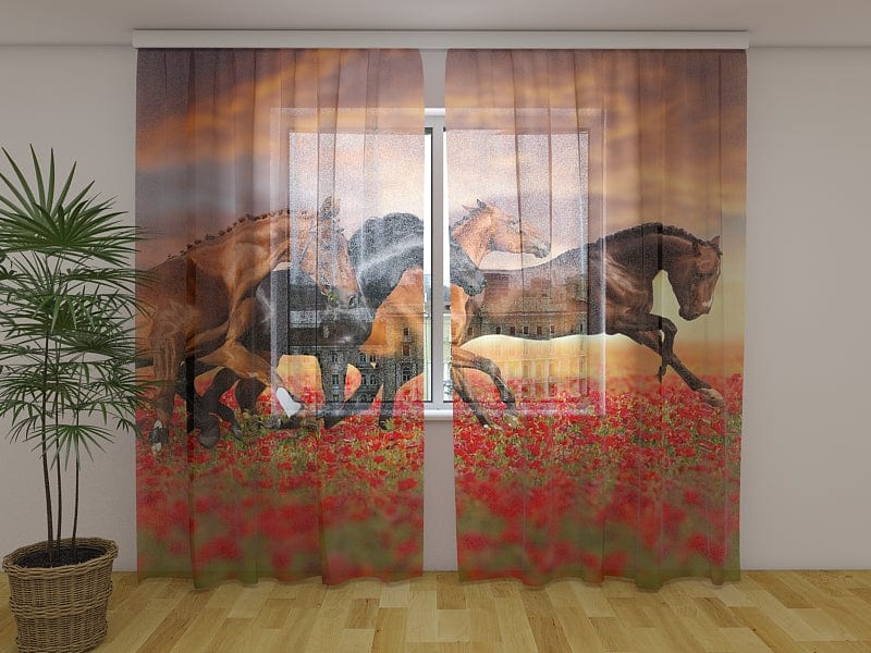 Curtains Horses in a poppy field