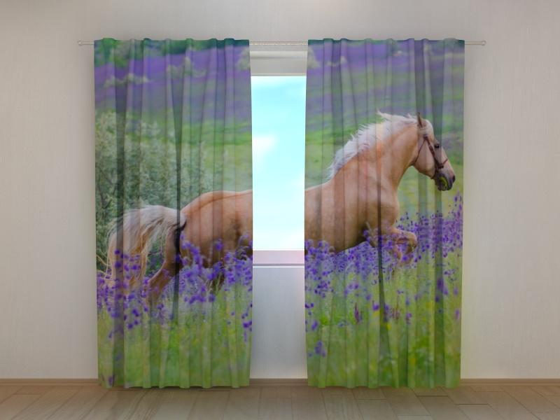 Curtains Horse in a field of flowers