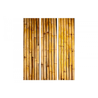 Aizslietnis Bambusa dārzs 135x172 cm ART