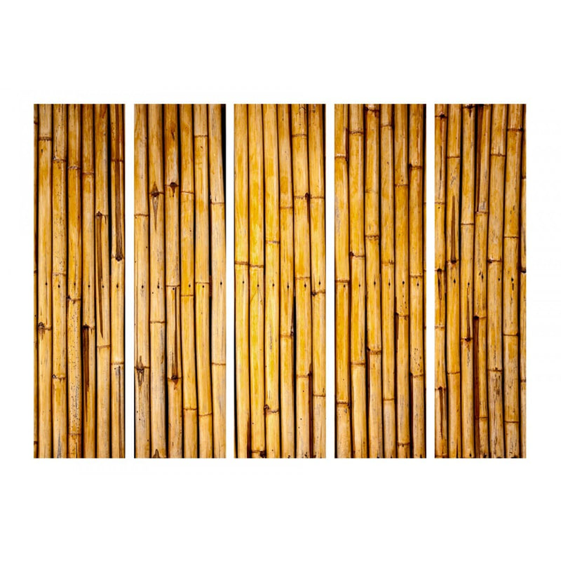 Aizslietnis Bambusa dārzs II 225x172 cm ART