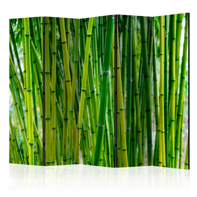 Aizslietnis Bambusa mežs II 225x172 cm ART