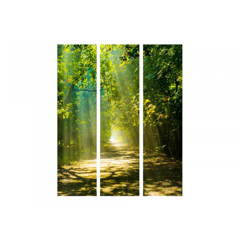 Aizslietnis Ceļš saules gaismā 135x172 cm ART