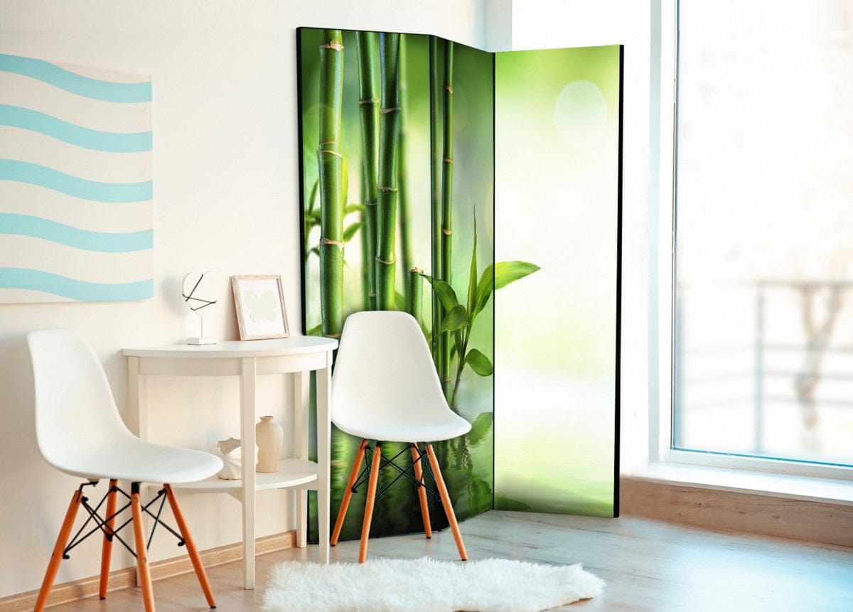 Room divider
