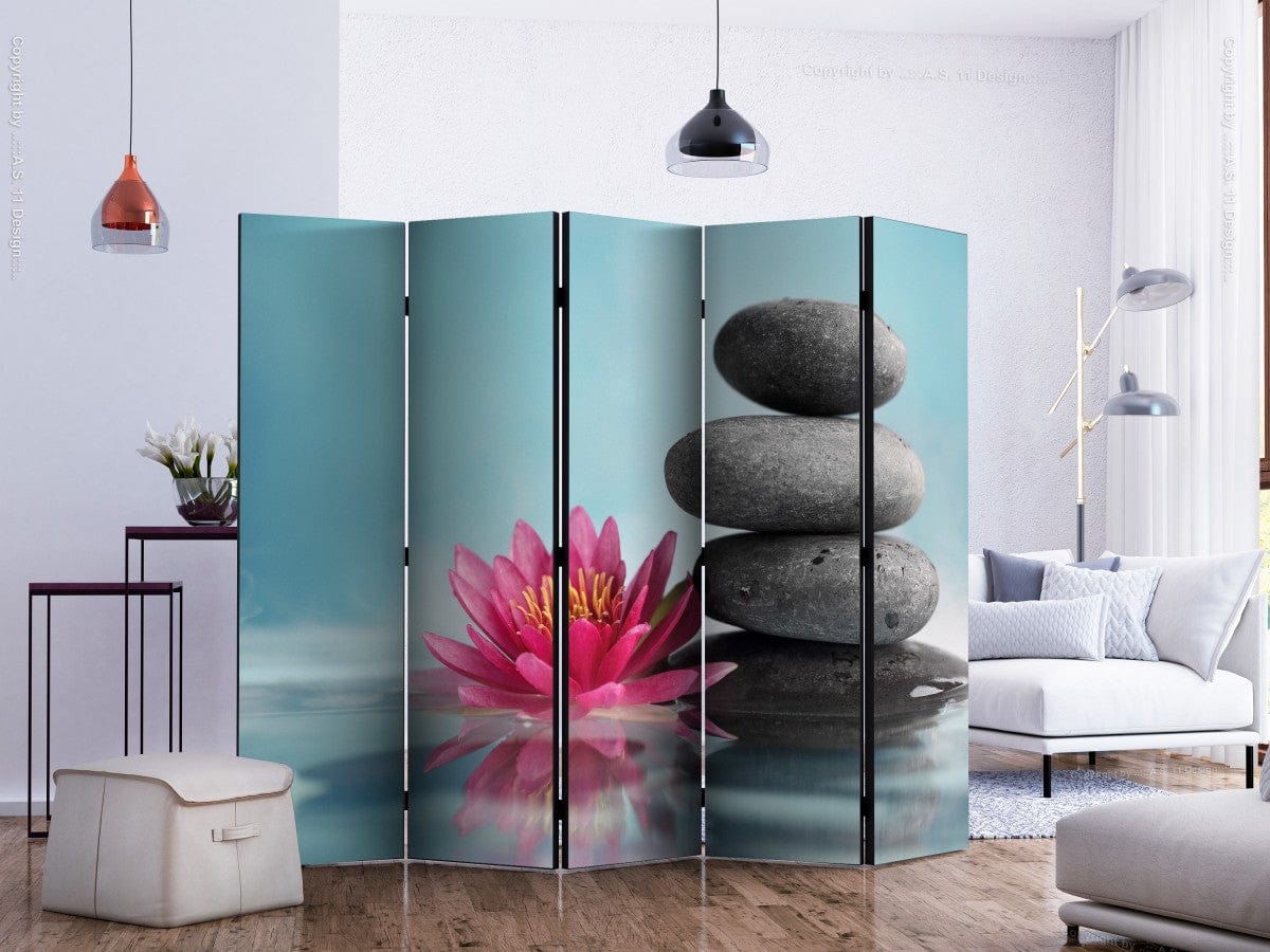 Širma ir kambarių pertvara