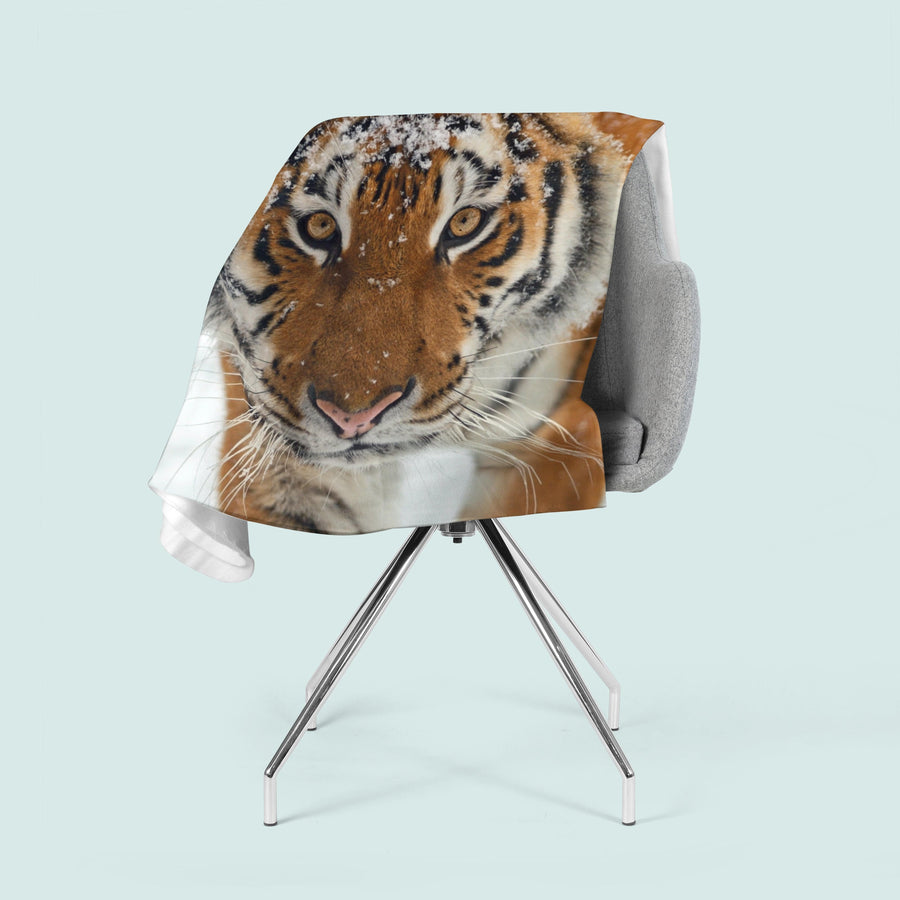 E-interjers.lv