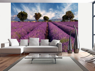 Wall Murals 60011 Lavender field in Provence, France G-ART
