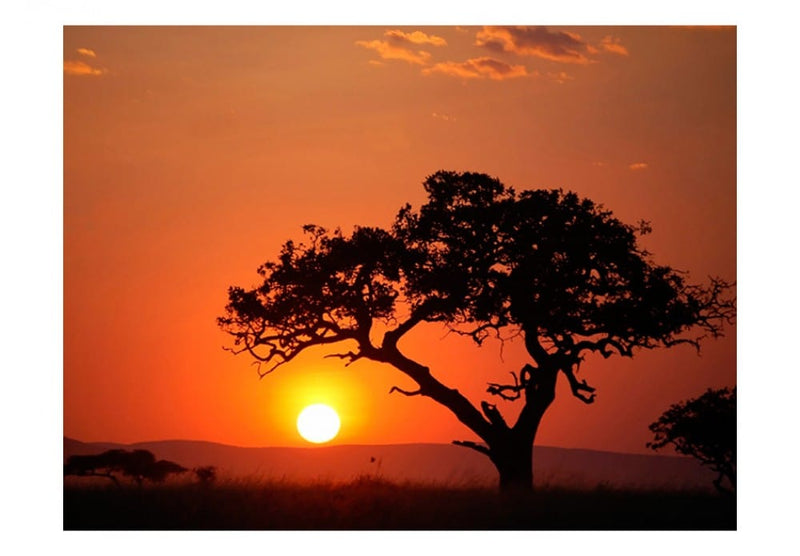 Valokuvatapetti 60489 Afrikka: auringonlasku G-ART