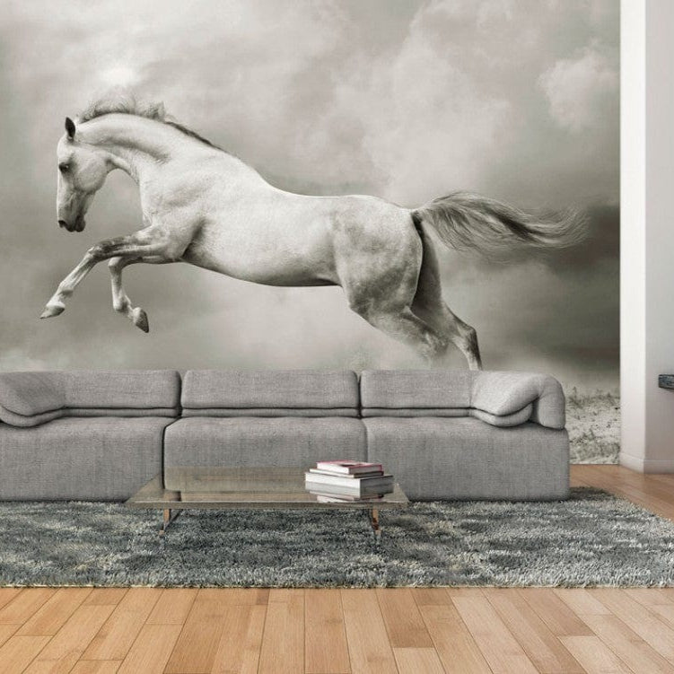 Wall Murals