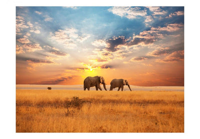 Valokuvatapetti 61395 Afrikkalaisen savannin norsut G-ART