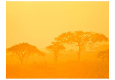 Valokuvatapetti 61399 Afrikan savanni G-ART