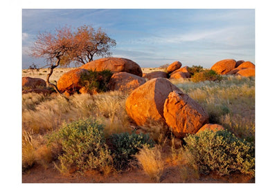 Фотообои 61406 Африканский пейзаж, Намибия G-ART