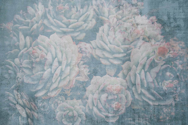 Fototapetes vintāžas stilā ar alveju 375x250 cm D-ART