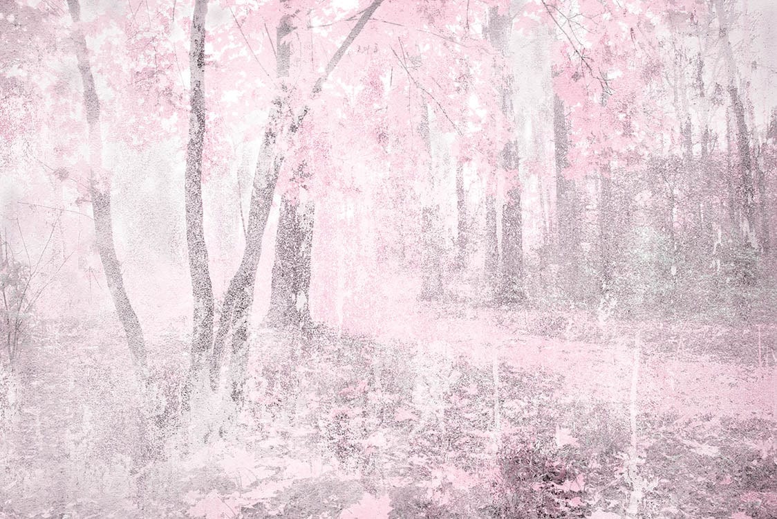 Fototapetes - Abstrakts mežs rozā krāsā - D364 D-ART
