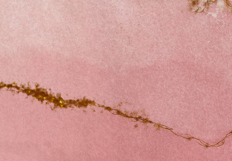 Fototapetes ar abstrakta faktūru rozā krāsā ar zelta elementiem, 143585 G-ART