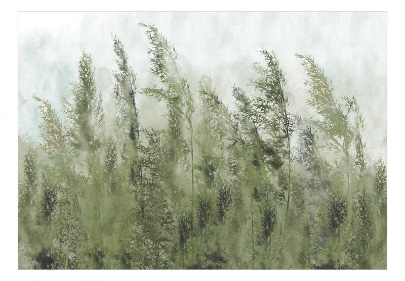 Fototapetes ar dabas motīvu - Dabas klusums (zaļos toņos) G-ART