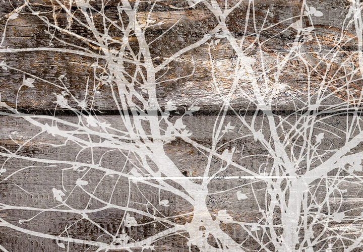 Fototapetes ar koka rakstu uz koka dēļiem - Dabas metamorfozes G-ART