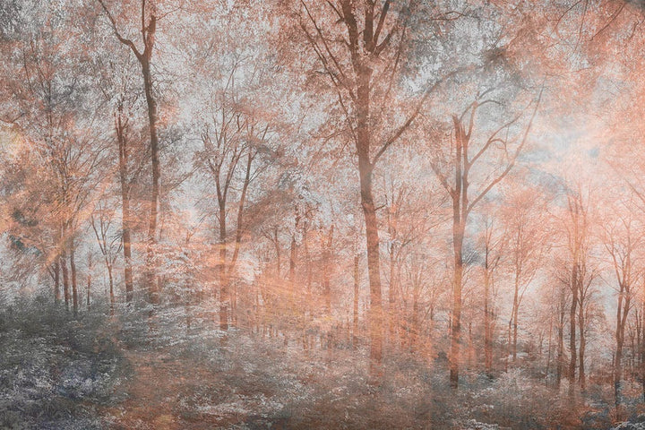Fototapetes ar mežu antīkā misiņa toņos - D390 D-ART