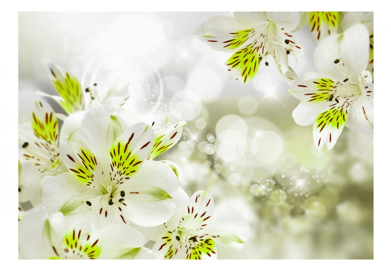 Fototapetes ar pavasara ziediem zaļos toņos - Princese no Dienvidiem, 88840 G-ART