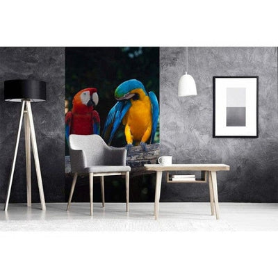 Fototapetes ar putniem - Krāsaini papagaiļi D-ART