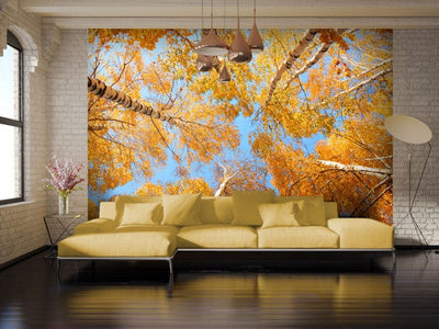 Wall Murals with autumn landscape - Autumn trees 60532 G-ART