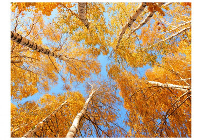 Fototapetai su rudens peizažu - Rudeniniai medžiai 60532 G-ART