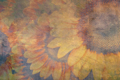 Fototapetes ar saulespuķēm vintāžas stilā - D383 D-ART