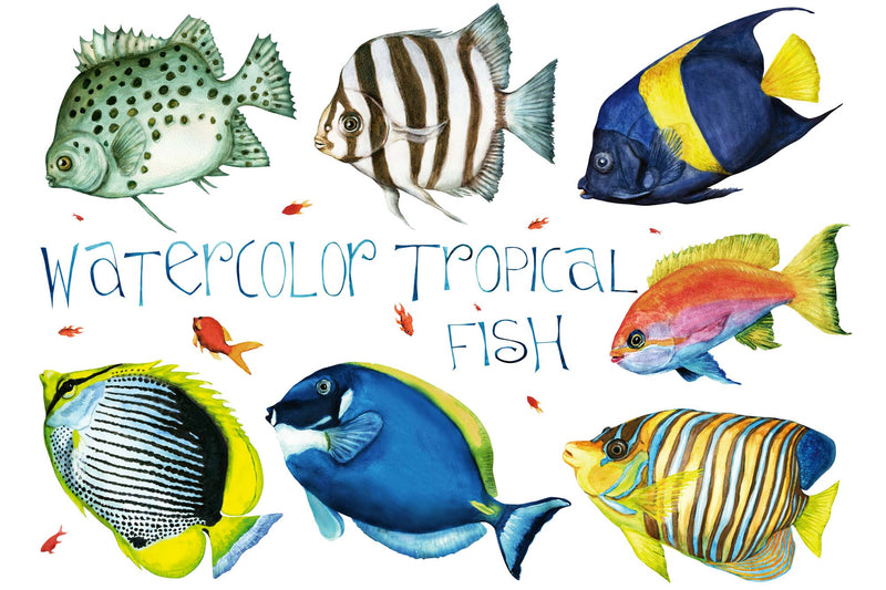 Fototapetes ar tropiskam zivtiņām, D391, 375x250 cm D-ART