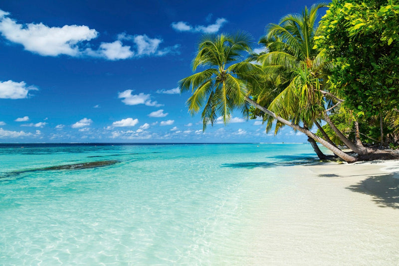 Wall Murals with tropical beaches - carefree rest, 150gr/m2 d -art