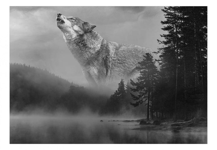 Fototapetes ar vilku pelēkos toņos - Meža noslēpumi G-ART
