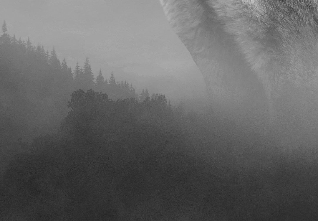 Fototapetes ar vilku pelēkos toņos - Meža noslēpumi G-ART