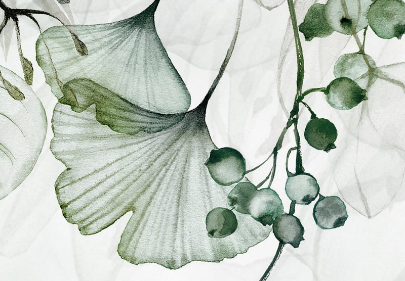 Fototapetes ar zaļam lapām uz balta fona - Miglaina daba - zaļā G-ART