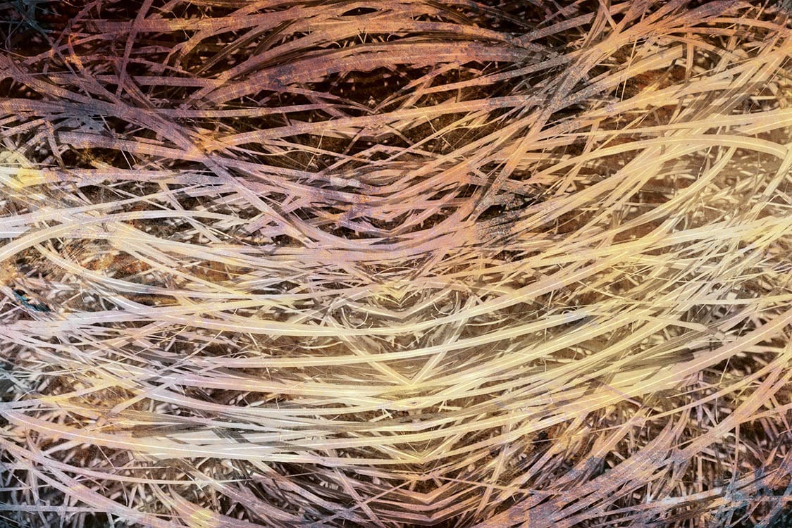 Fototapetes ar zāli vintāžas stilā brūnos toņos - D381 D-ART