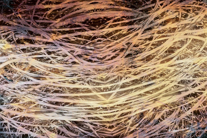 Fototapetes ar zāli vintāžas stilā brūnos toņos - D381 D-ART