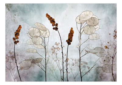Fototapetes ar ziediem - Lunārija pļavā, 134635 G-ART