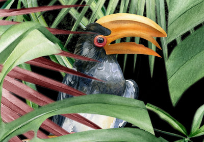 Fototapetes at tropiskam lapam, kolibri un papagaiļiem uz melna fona, 142062