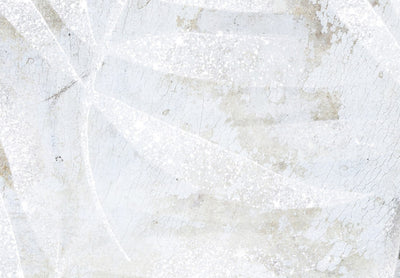 Wall Murals with stylized tropical leaves, concrete texture 137856 G-art