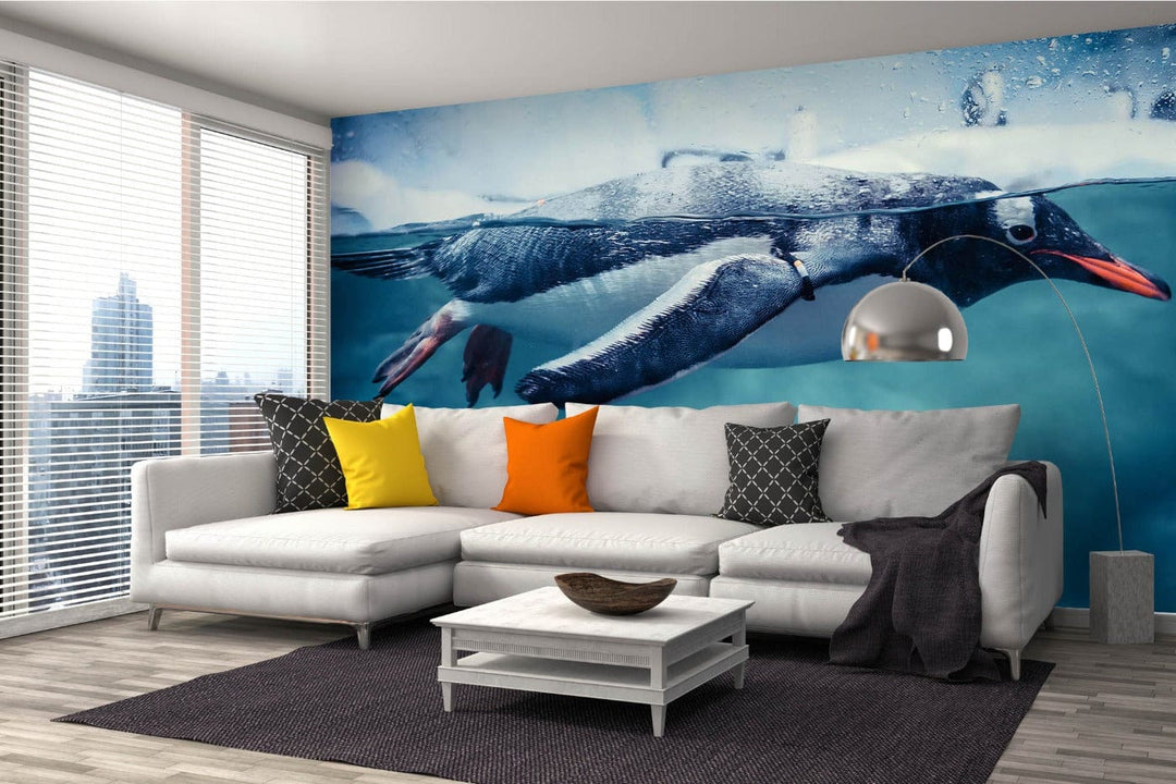 Fototapetes ar pingvīniem - Džentū pingvīns, 375x250 cm D-ART
