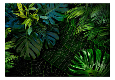 Fototapetes Džungļi - 113690 G-ART