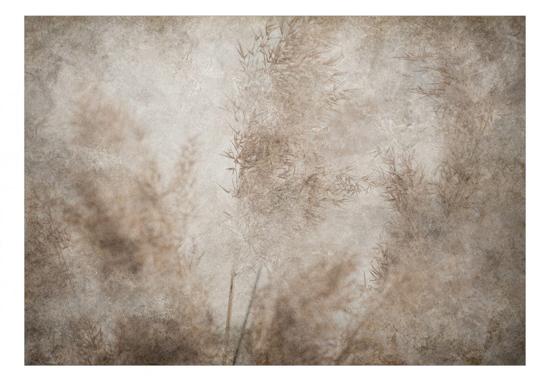 Fototapetes ar niedrēm, Vanilla krāsā, art. 138583 G-ART