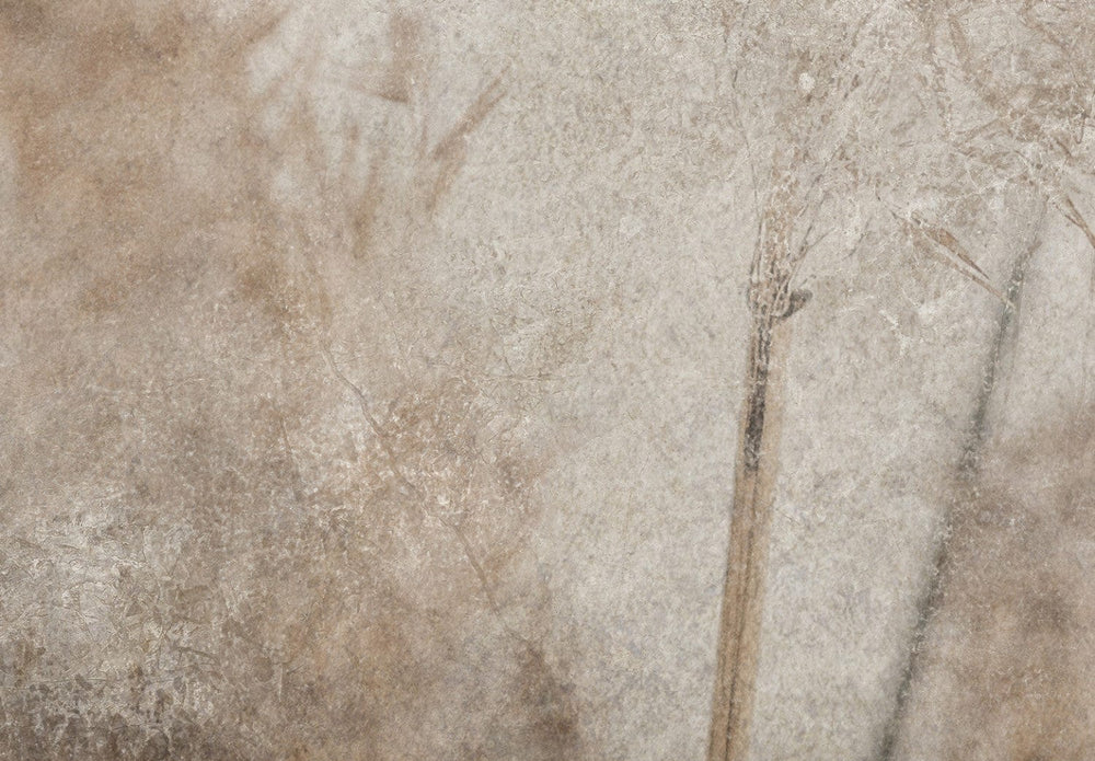 Fototapetes ar niedrēm, Vanilla krāsā, art. 138583 G-ART